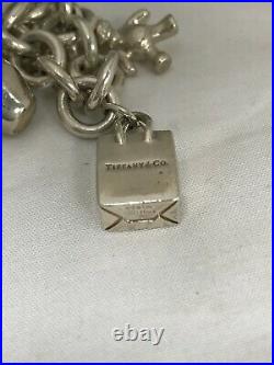 Tiffany & Co Sterling Silver Charm Bracelet NYC Apple Teddy Bear Gift & Shopping