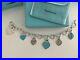 Tiffany-Co-Sterling-Silver-Heart-Charms-Blue-Enamel-Clasping-Link-Bracelet-01-nyky
