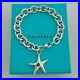 Tiffany-Co-Sterling-Silver-Turquoise-Starfish-Charm-Bracelet-7-With-Pouch-01-hu