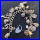 Vintage-1970-s-Silver-25x-piece-charm-bracelet-inc-NUVO-ice-bucket-padlock-101g-01-kkin