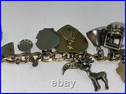 Vintage Estate Multi Charm Sterling Silver Bracelet & Charms