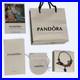 Women-s-Sterling-Silver-And-Red-Pandora-Charm-Bracelet-01-hc